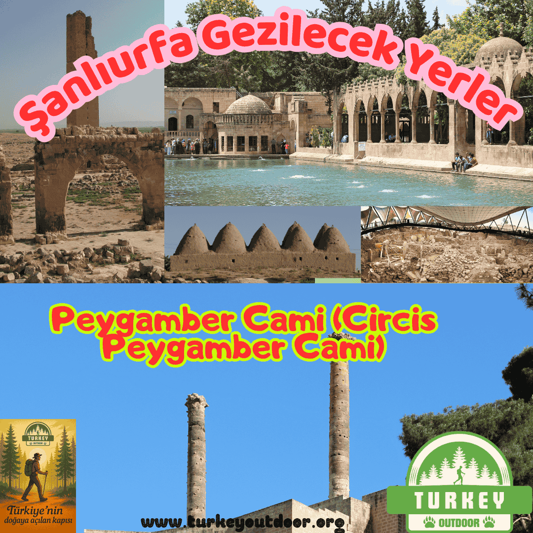 Mezquita del Profeta de Şanlıurfa (Mezquita del Profeta Circis)