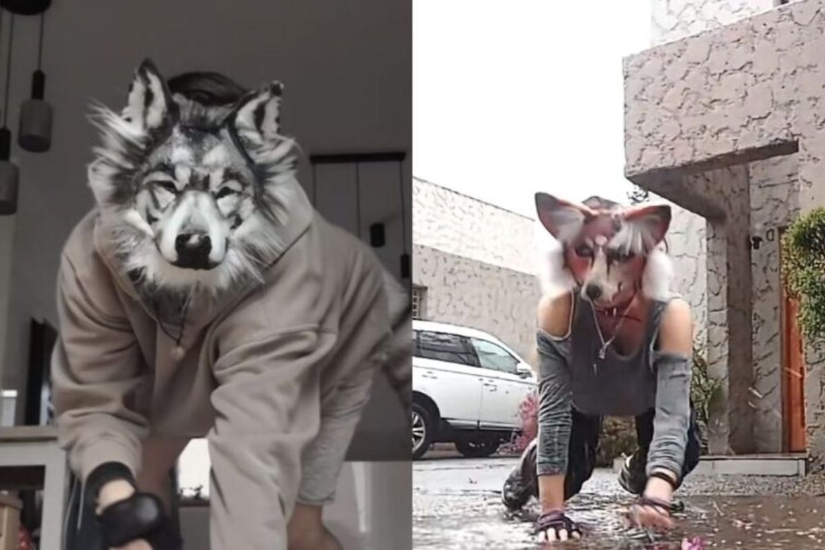 Therians viralizam novamente ao se vestir e agir como lobos e gatos