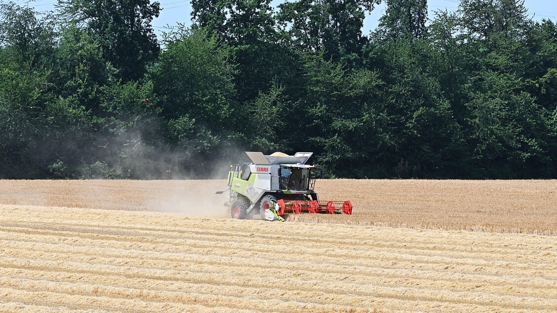 Ismea, nel trimestre +1,4% il valore aggiunto agricolo