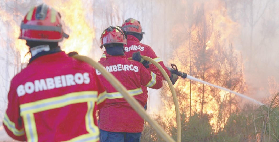 Oito meios aéreos combatem as chamas em Penacova