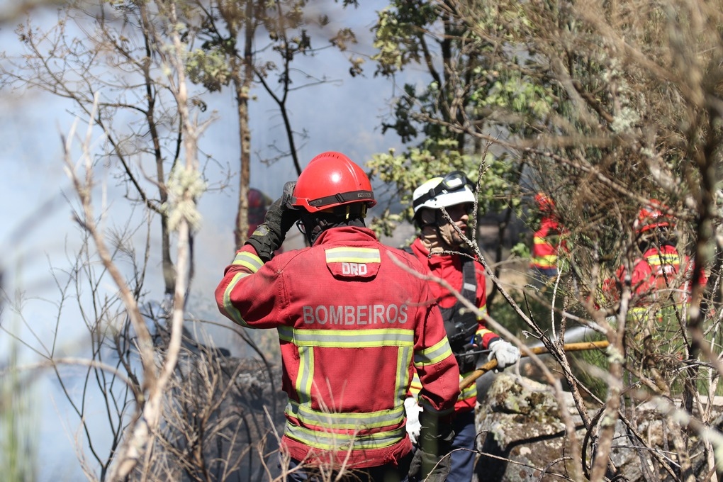 Incêndio em Moimenta da Beira continua por dominar com quase 500 operacionais