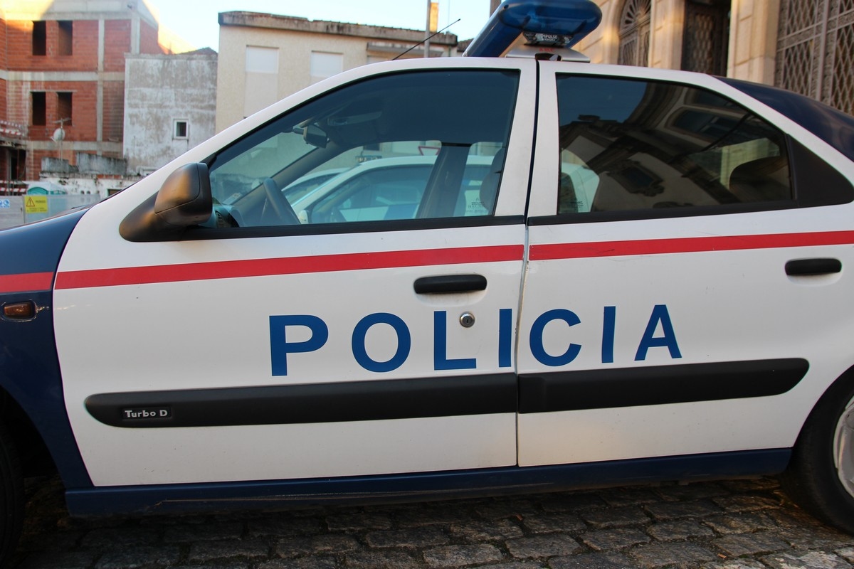 Siete detenidos por la PSP
