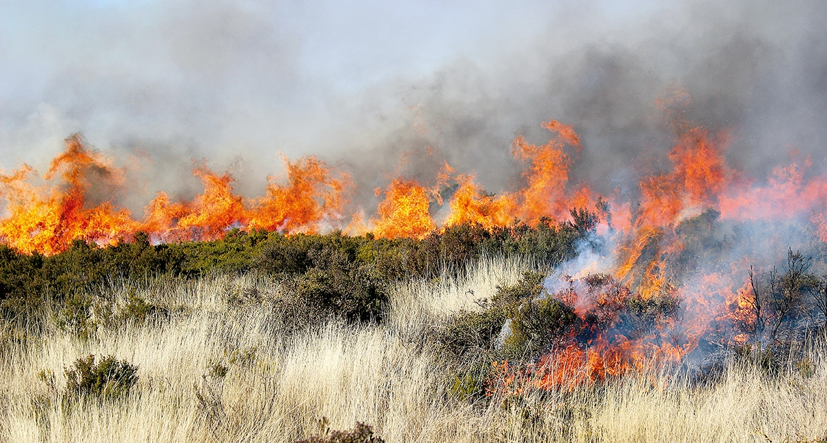 Incêndios em Sirarelhos e Alvadia reativados