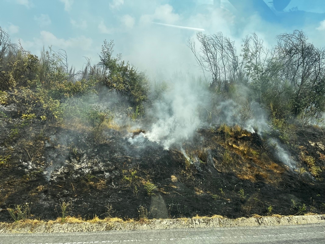 Popular identificado por alegado contrafogo na serra do Alvão