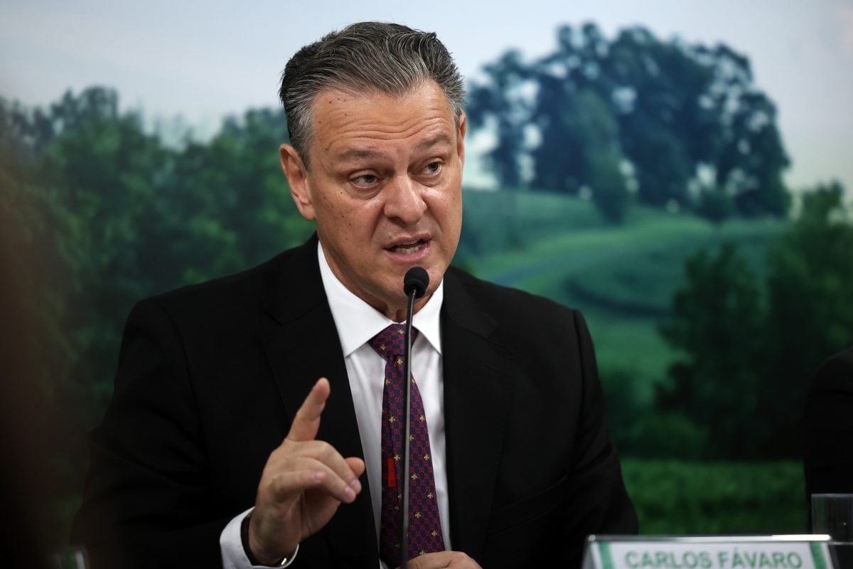 Brazil declares itself free of bird flu and imposes an end to the 'sanitary vacuum'
