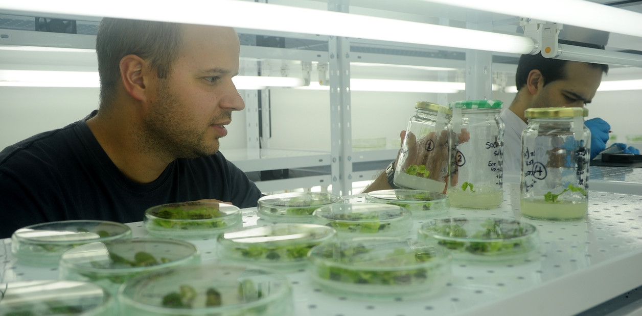 De sleutelverbinding tussen wetenschappelijk onderzoek, innovatie en productie