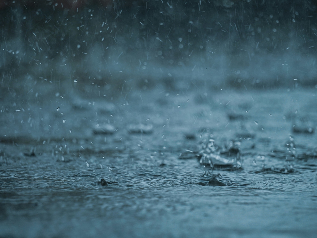 Clima hoje em Orlando, Estados Unidos: previsão do tempo para segunda-feira, 1 de setembro de 2025