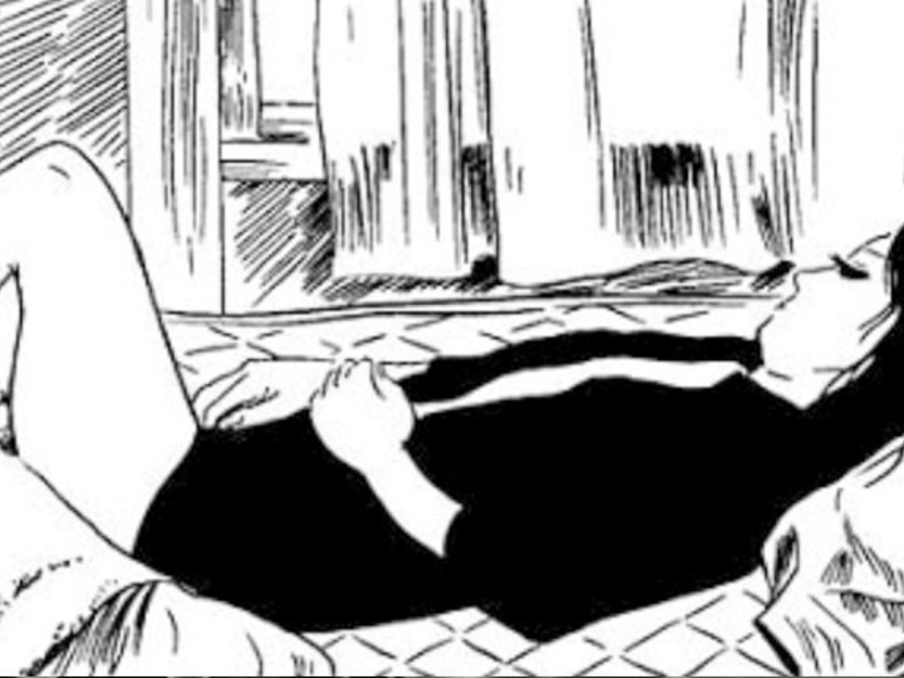 Japanese Manga: Literature is also drawn