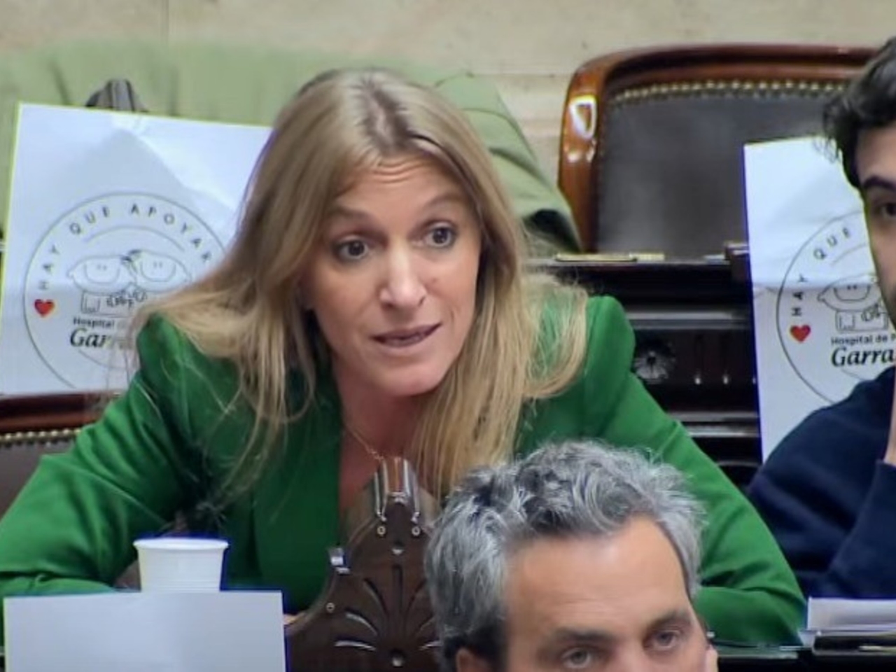 “Callate la boca, vos, gato” y “No tengo huevos, pero me los inflaron”: el cruce a los gritos entre una diputada kirchnerista y su par de LLA