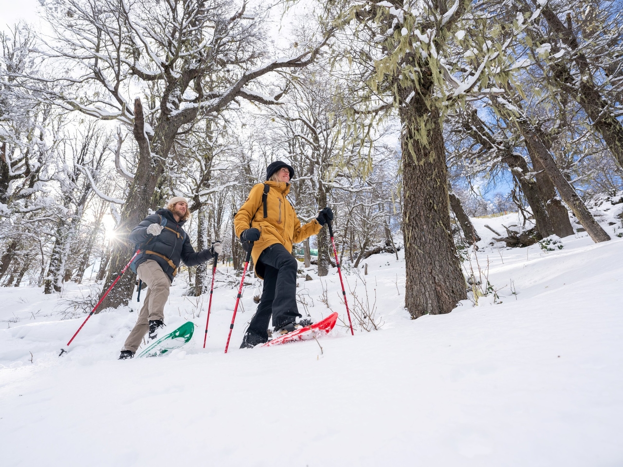 It is one of the favorite holiday destinations and for this winter it launched discounts on hotels and frozen rates.