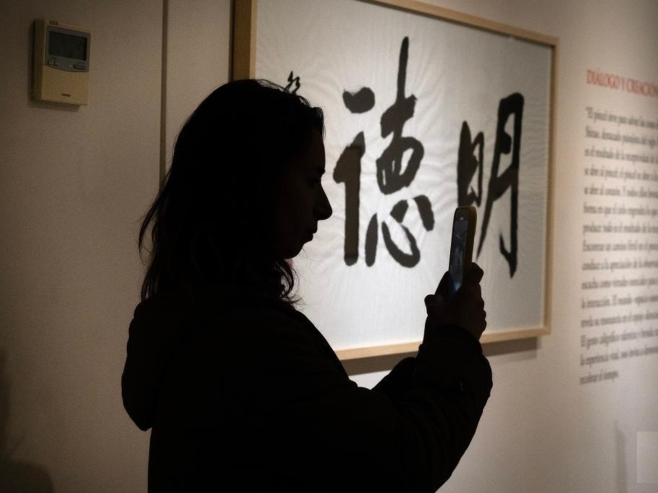 Chinese kunst en traditie: oude kalligrafie in een gratis tentoonstelling in Buenos Aires