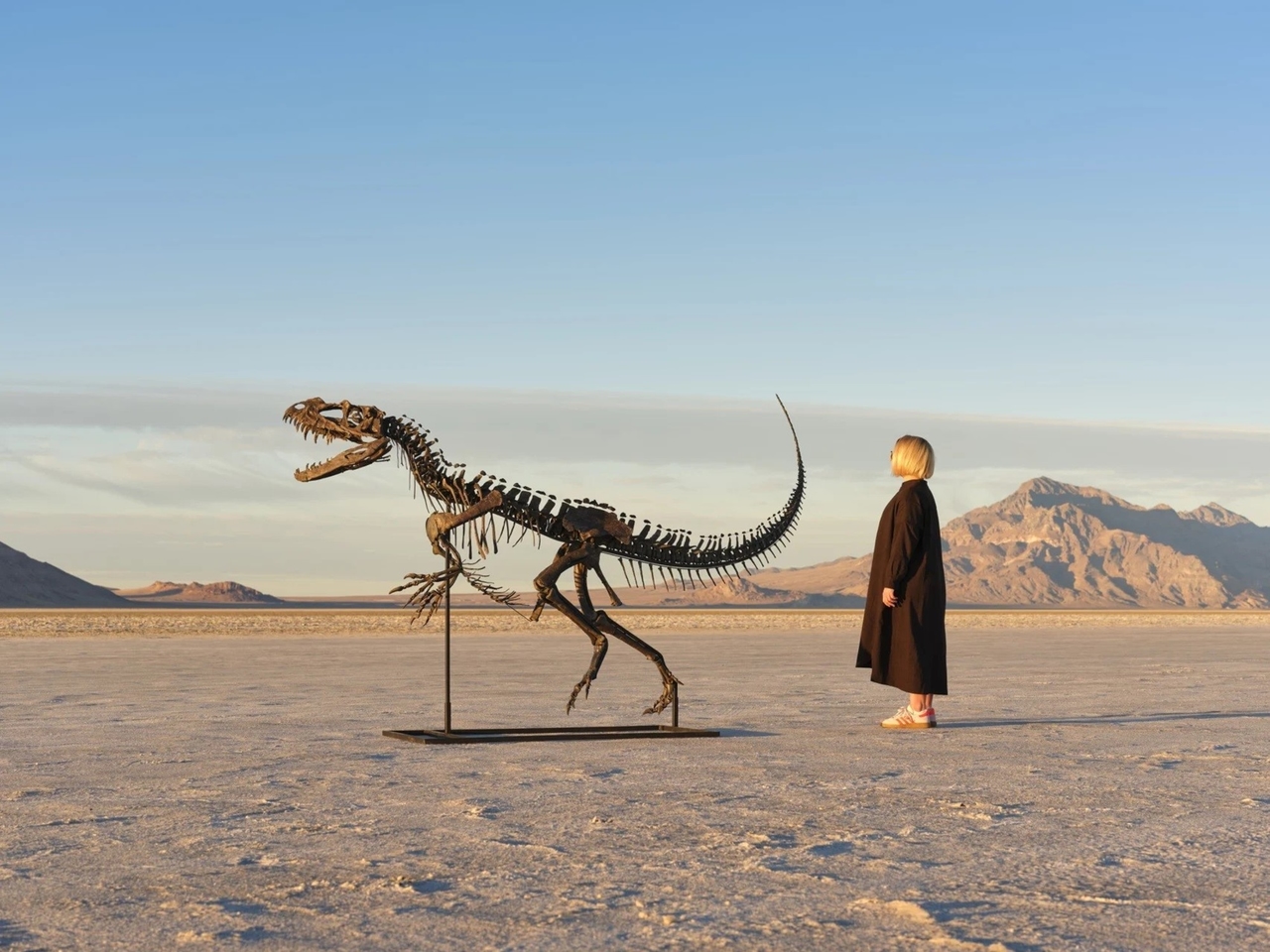 Sotheby's veilt skelet van Ceratosaurus: het enige bekende jonge exemplaar