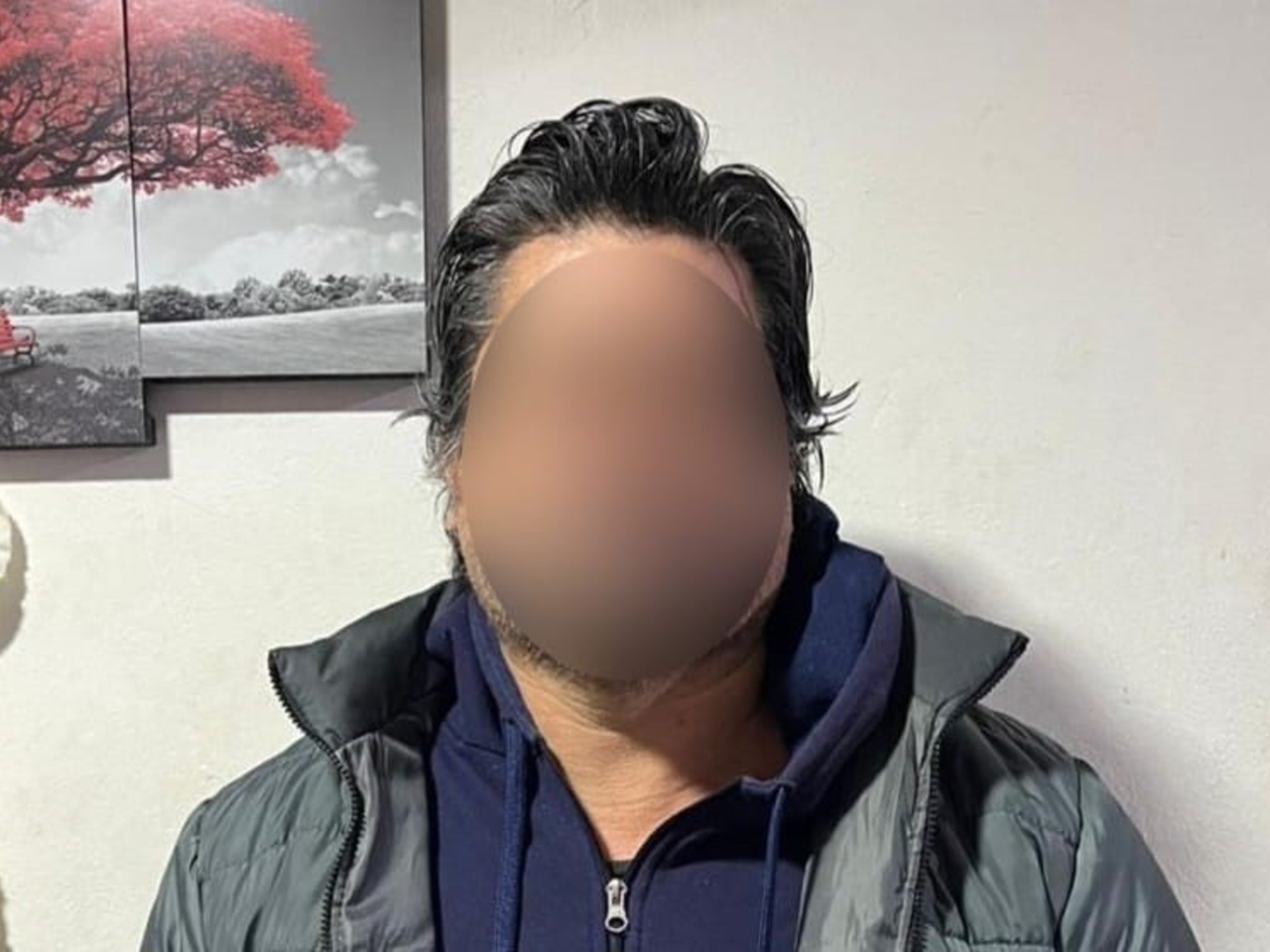 Un uomo che aveva minacciato il presidente Javier Milei sui social media è stato arrestato a Berazategui.