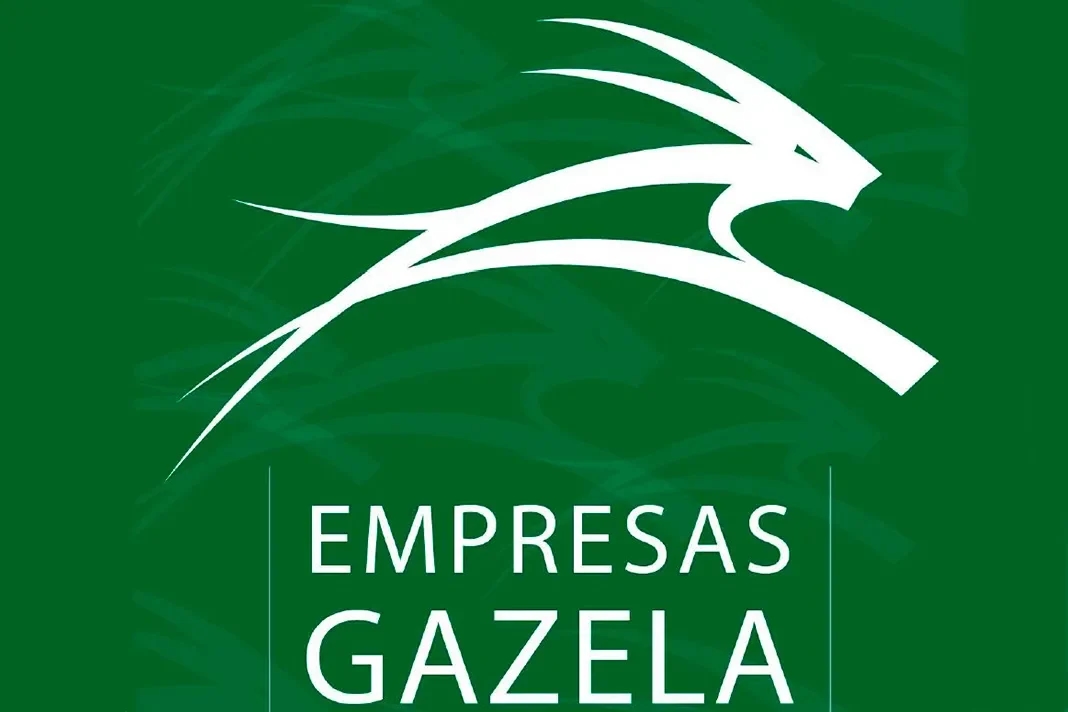 La regione di Aveiro è in testa alla classifica delle aziende 'gazzella' del centro del Paese