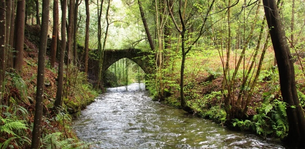 Il Sentiero Açudes è il nuovo percorso pedonale di Albergaria-a-Velha