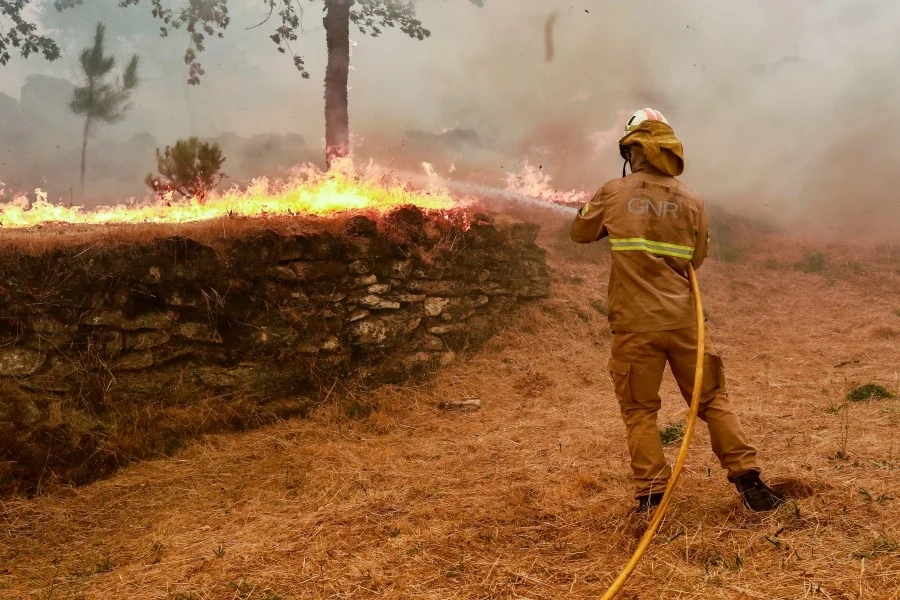 Fogos em Pedrógão Grande já chegaram à Sertã