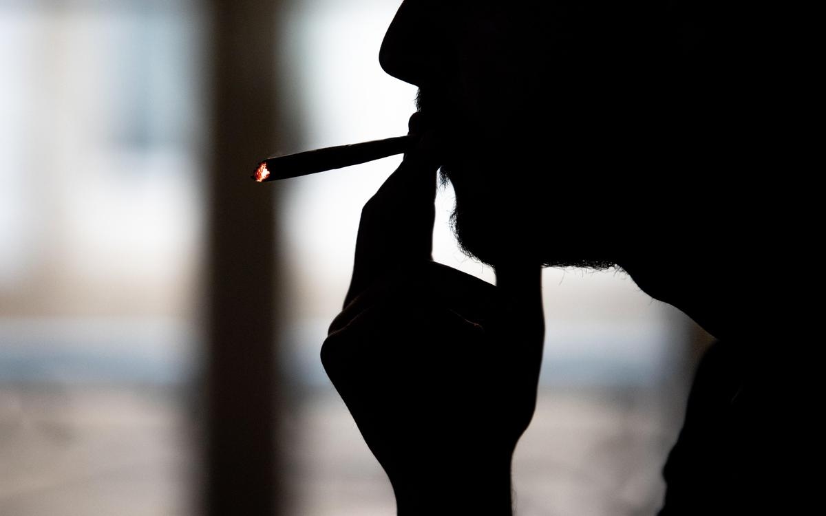 School bus driver tested positive for drugs was growing cannabis at home