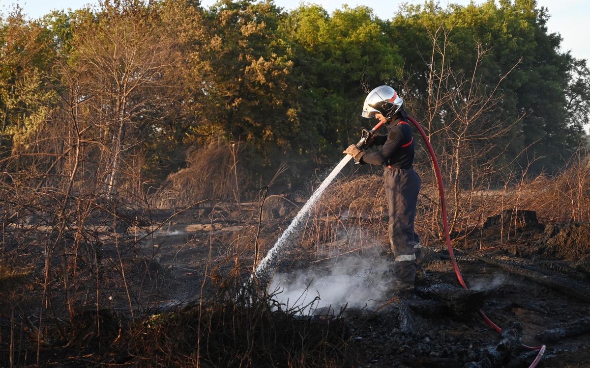 Combate a incêndios: “As pessoas não estão suficientemente conscientes”