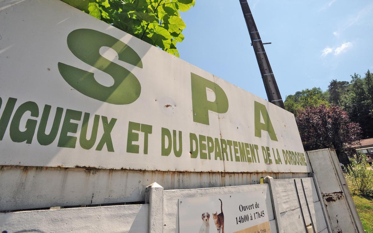 The Dordogne SPA warns against identity theft