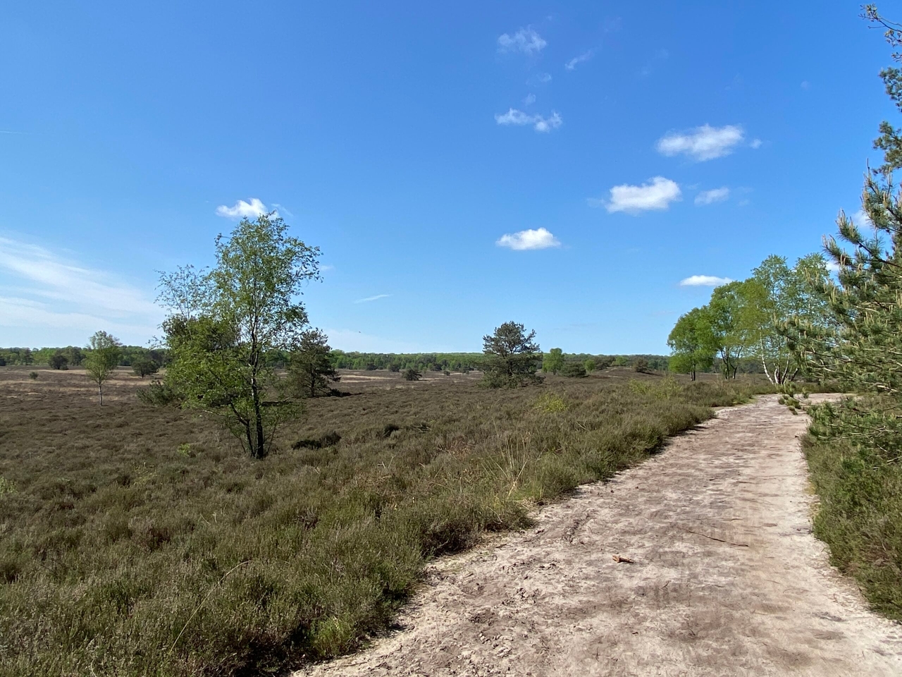 Destinos holandeses: aventúrate de nuevo en Veluwe