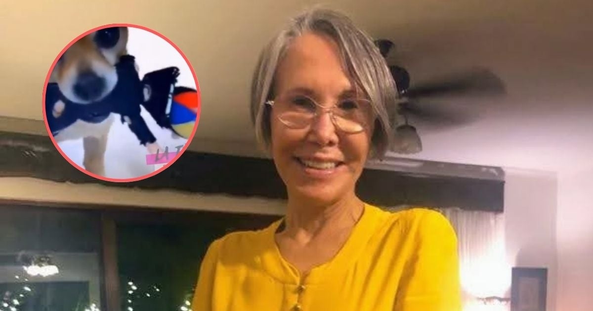 Il cane di Florinda Meza gioca con un peluche di Quico e scatena le polemiche.