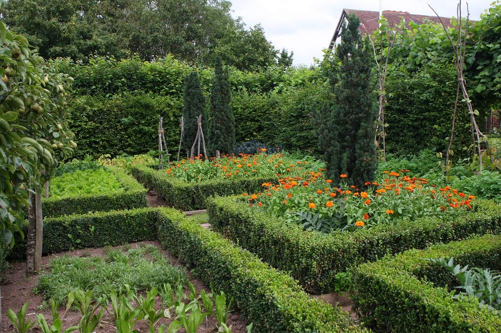 The 13 most beautiful evergreen hedges for your garden