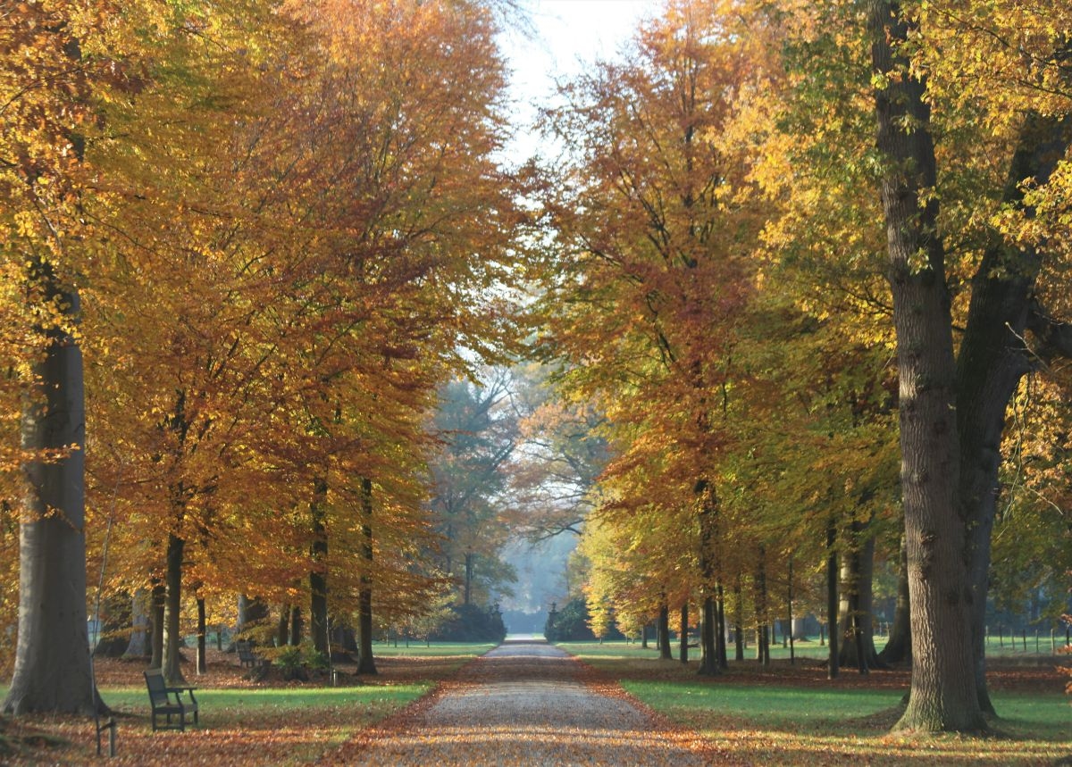 Kunstpflanzenmarkt: Warum nur im Herbst?
