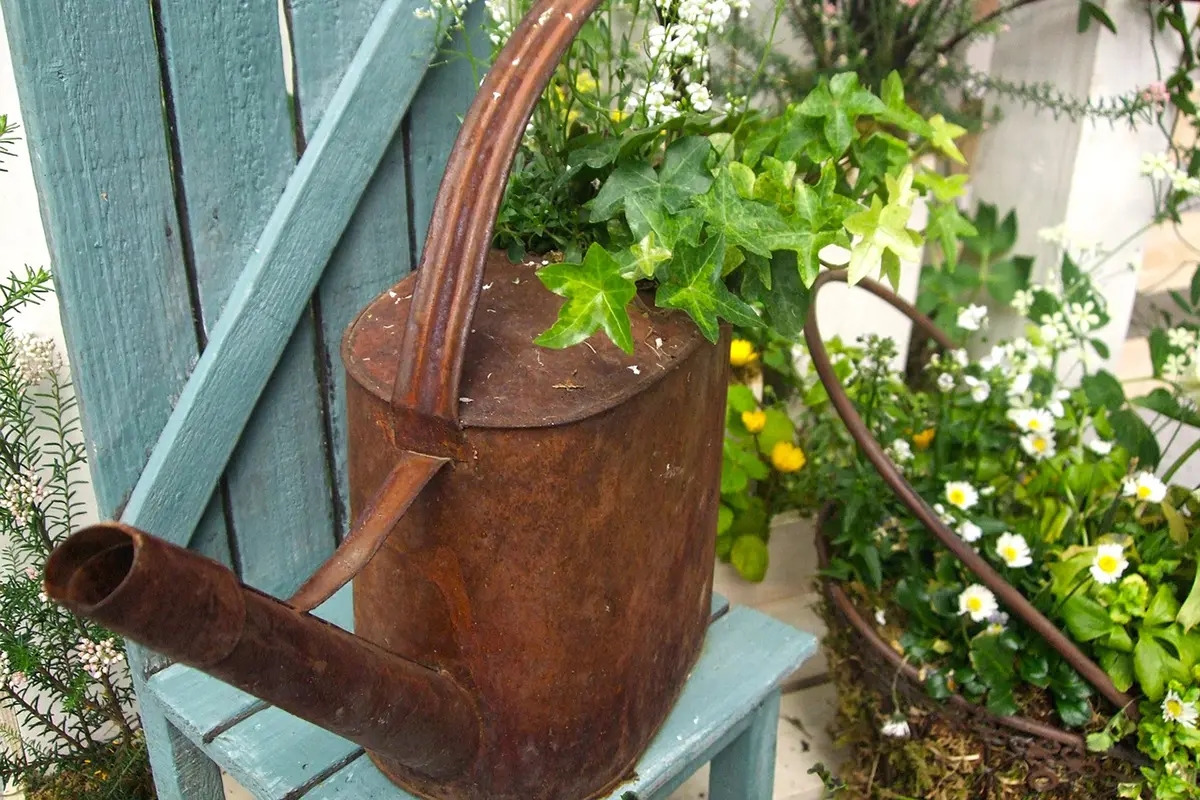 17x Las mejores ideas de jardín con un presupuesto reducido