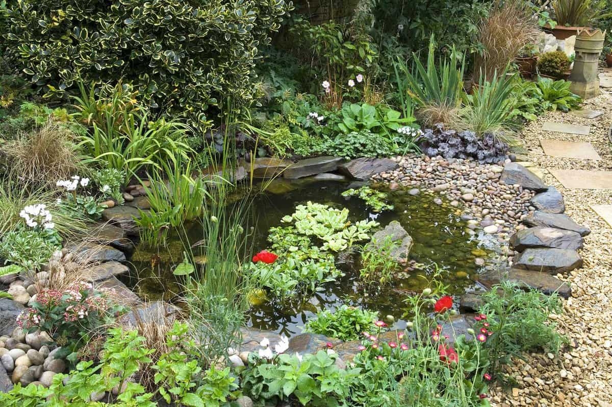 Cómo construir un estanque en tu jardín (con fotos)