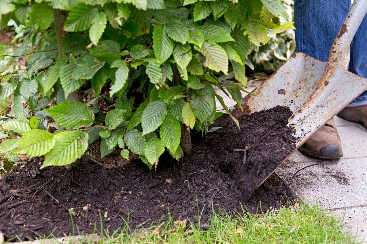 Protege tu jardín del clima otoñal con estos consejos inteligentes