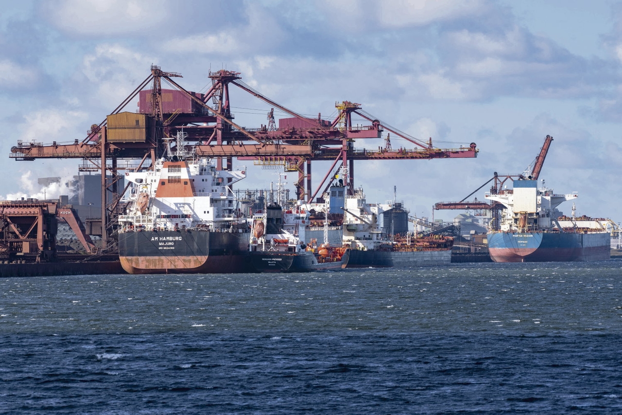 ArcelorMittal Dunkirk: behind the blast furnaces, an entire ecosystem on borrowed time