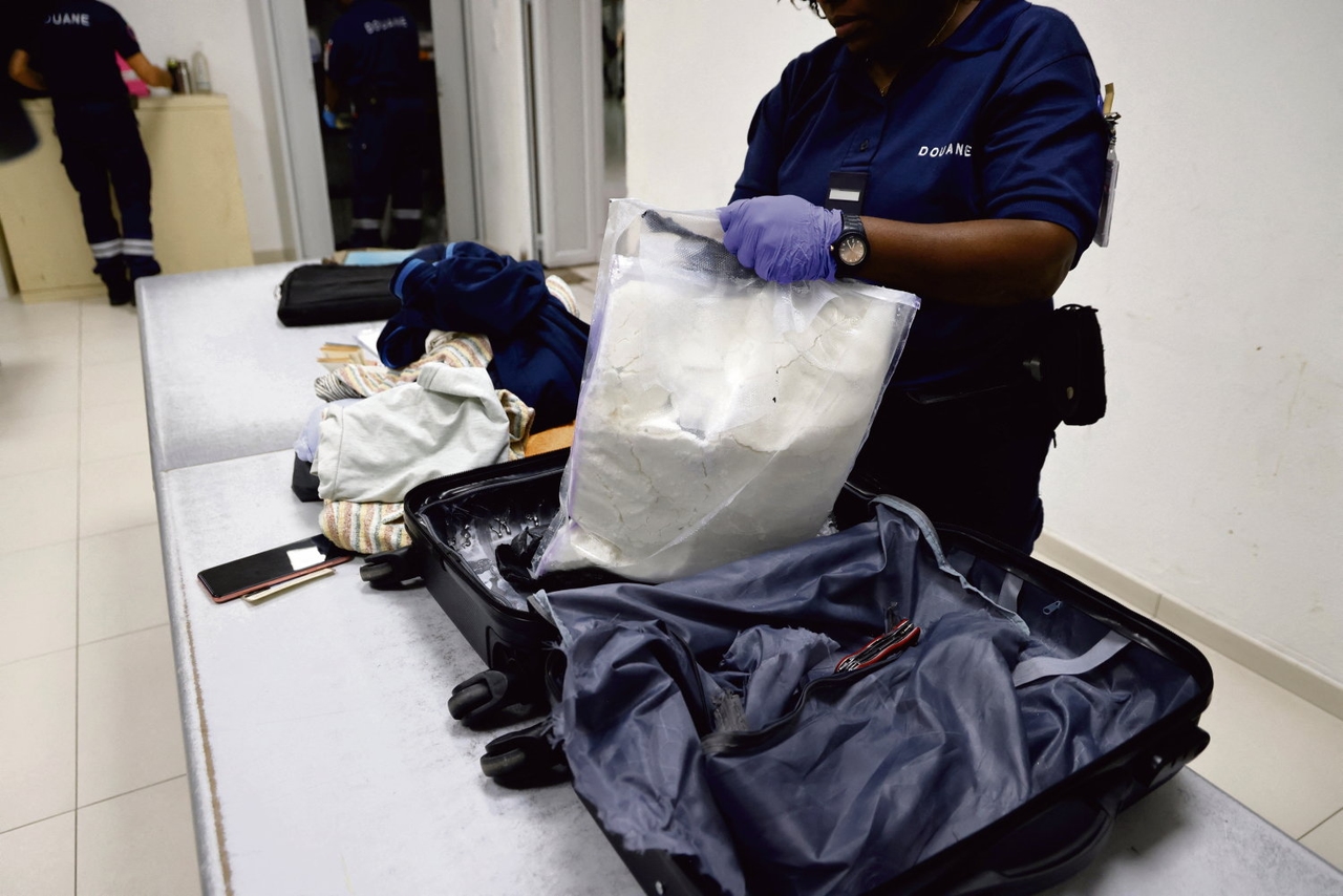 Drug trafficking: corruption of public and private officials, a reality that the authorities do not want to see