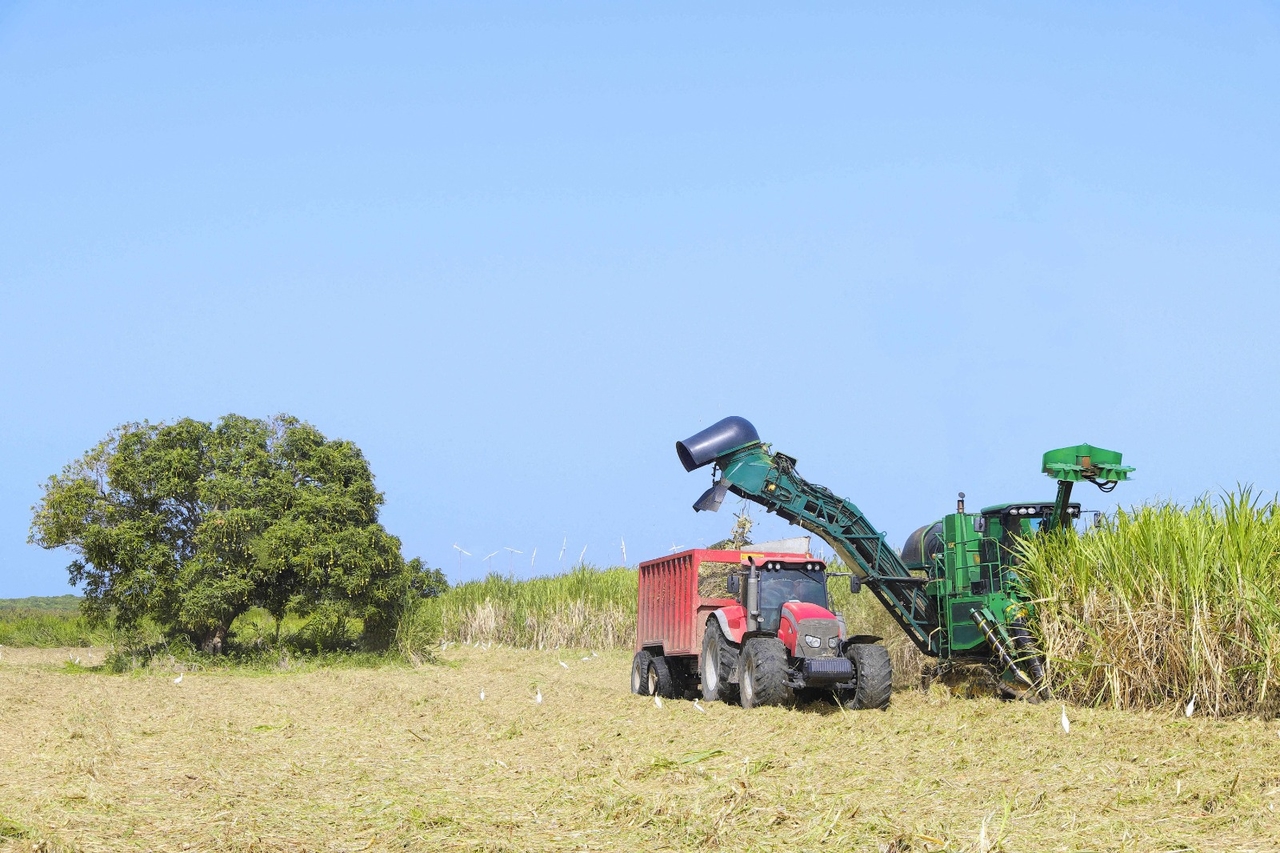Victoire Violanes, nueva copresidenta de Modef: «En el extranjero, los agricultores pagan el doble que en Francia continental»