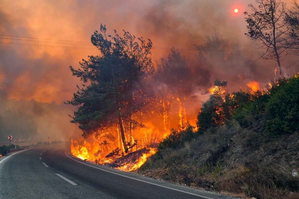 Erdoğan impute les incendies de forêt au changement climatique et ne parvient pas à remédier à la faiblesse des politiques climatiques.