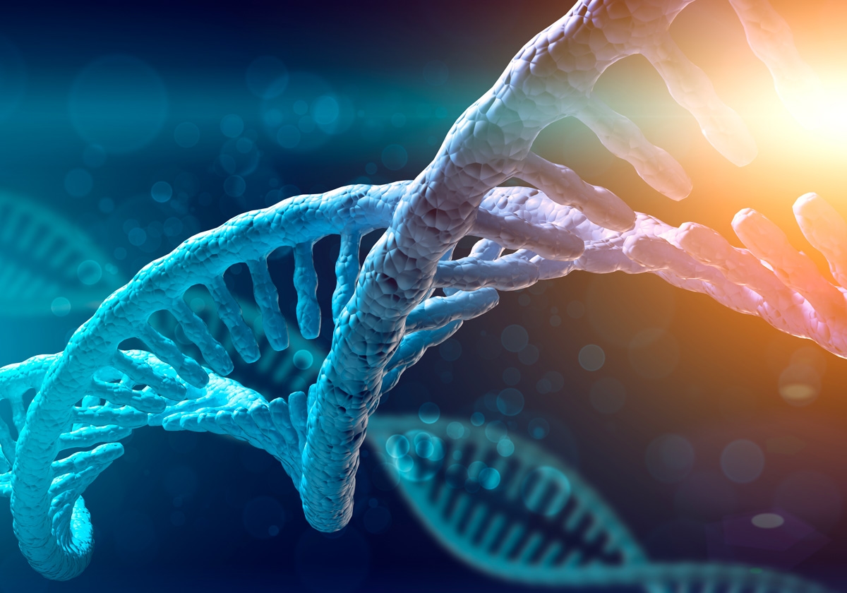 Science, from a tooth the genome of a potter: the oldest DNA in Egypt sequenced