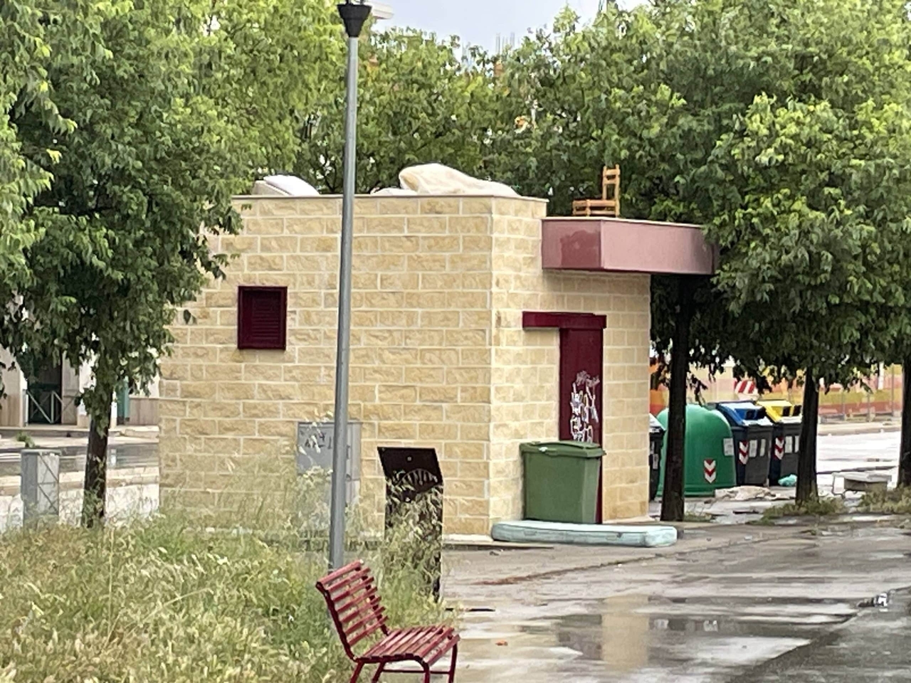 Degradación sin fin en el Rione Biccari de Foggia: entre malezas, animales salvajes y espacios públicos aún sin asignar