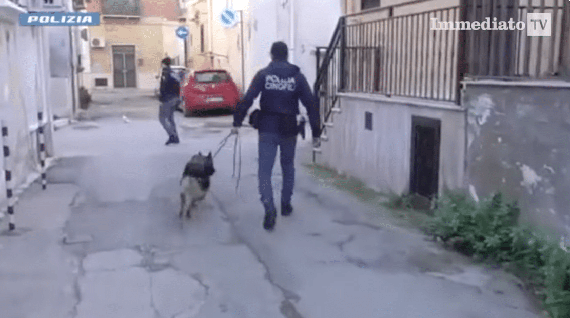 Drogas do Gargano para a costa do Adriático, o “Anão Malvado” preso: ele era o diretor invisível do tráfico