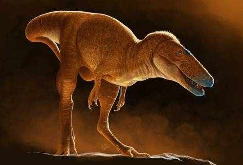 Une espèce de tyrannosaure ayant vécu il y a 86 millions d'années identifiée