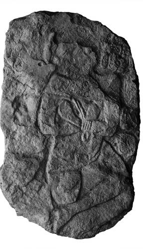 La découverte d'un panneau sculpté à Calakmul remettrait en question l'idée de l'étendue du site.