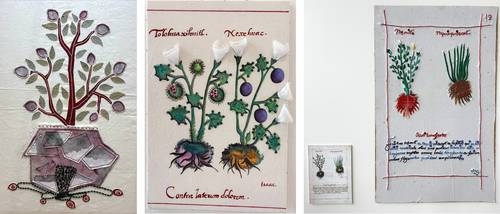 They observe with a creative eye a pre-Hispanic manuscript about medicinal plants