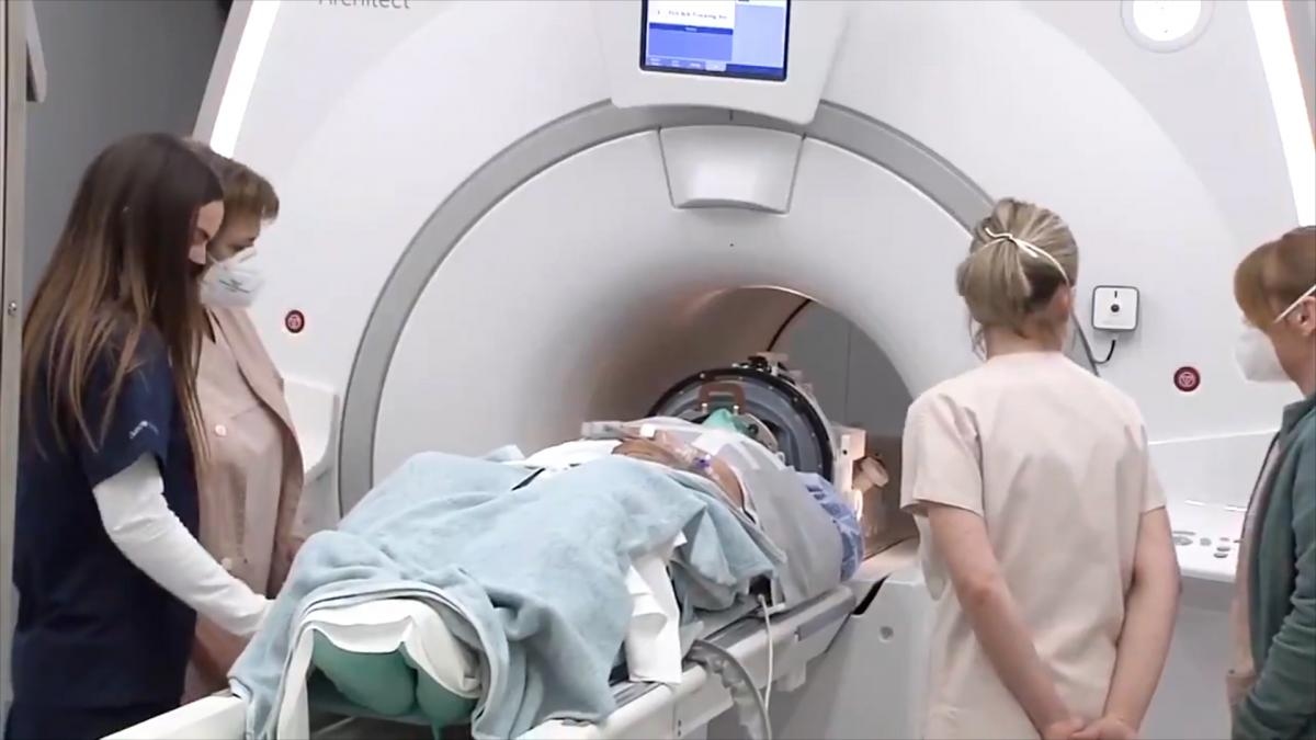 Parkinson hastalığına yönelik hangi tedaviler mevcuttur?