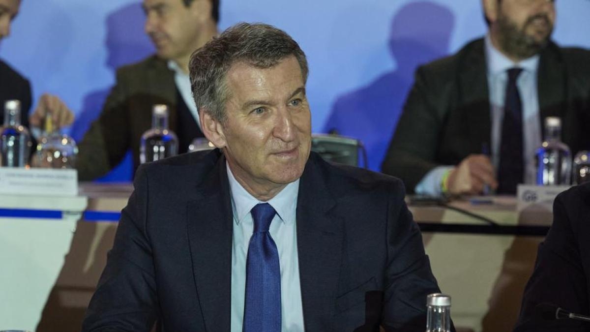 Feijóo considers calling the PP congress in July and analyzes the pros and cons.