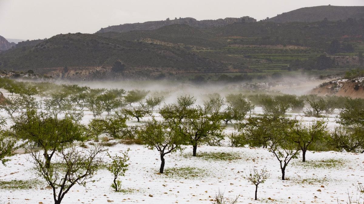 Schlechtes Wetter, mehr Ernährungsunsicherheit