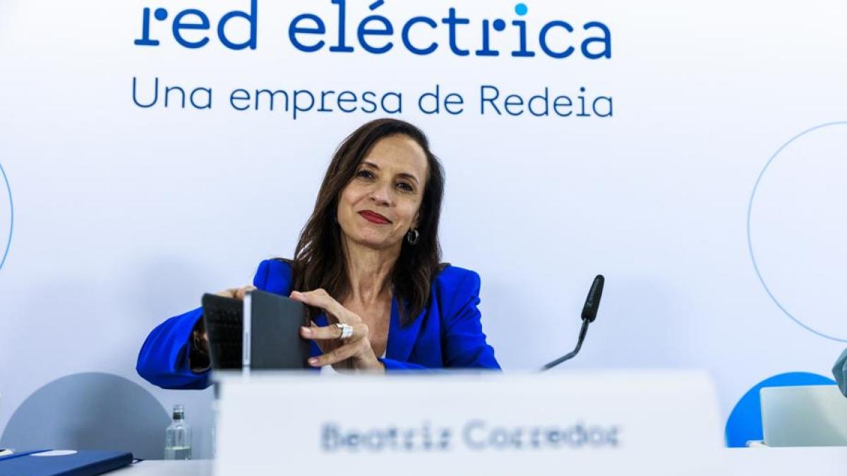 Red Eléctrica, elektrik kesintisinin tamamen elektrik şirketindeki arızalardan kaynaklandığını söylüyor.