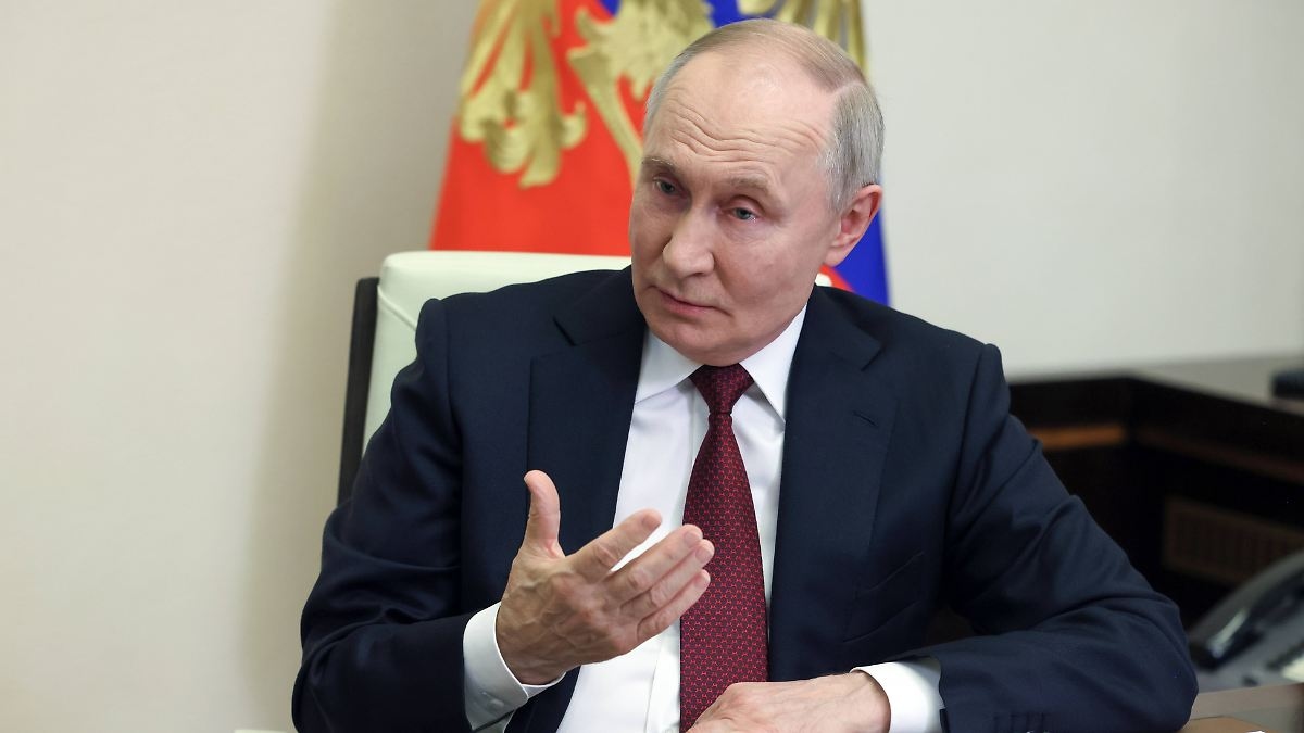 "We have never refused": Putin wants Europeans to participate in Ukraine negotiations