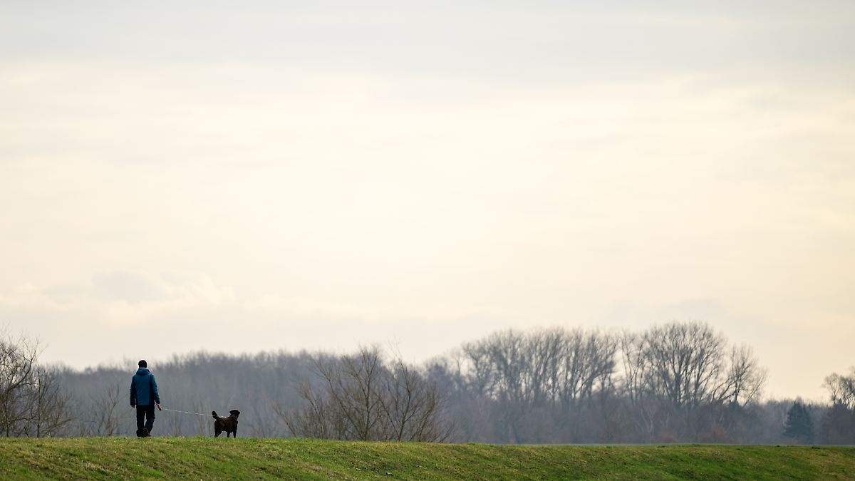 Despite the threat of fresh snow: Spring breakthrough in Germany is approaching