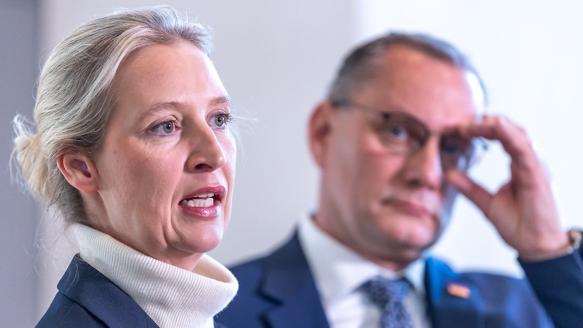 Malgré les critiques sur l'affaire de l'idiot : Weidel porte également plainte pour insulte