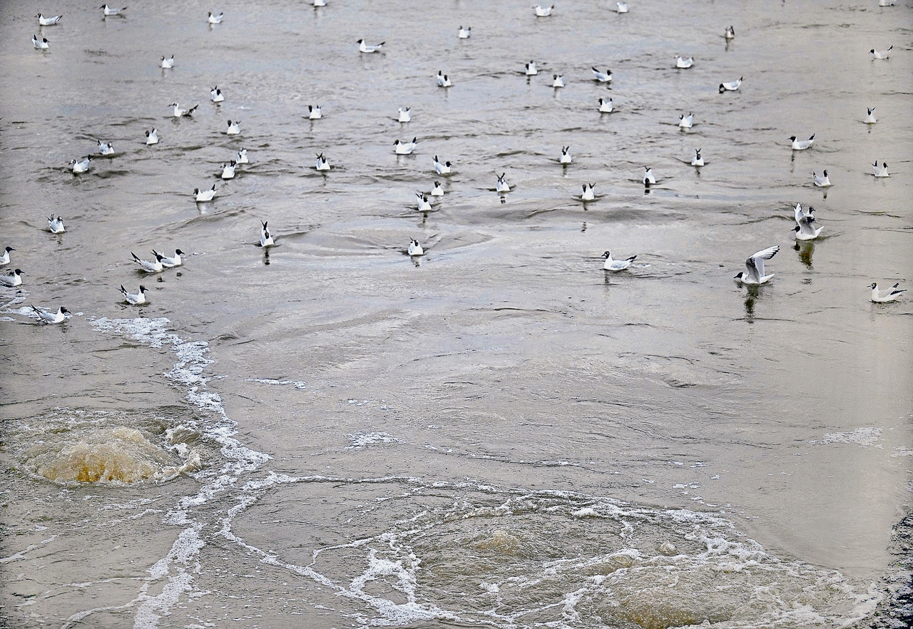 Thames Water | Private water company on the verge of collapse