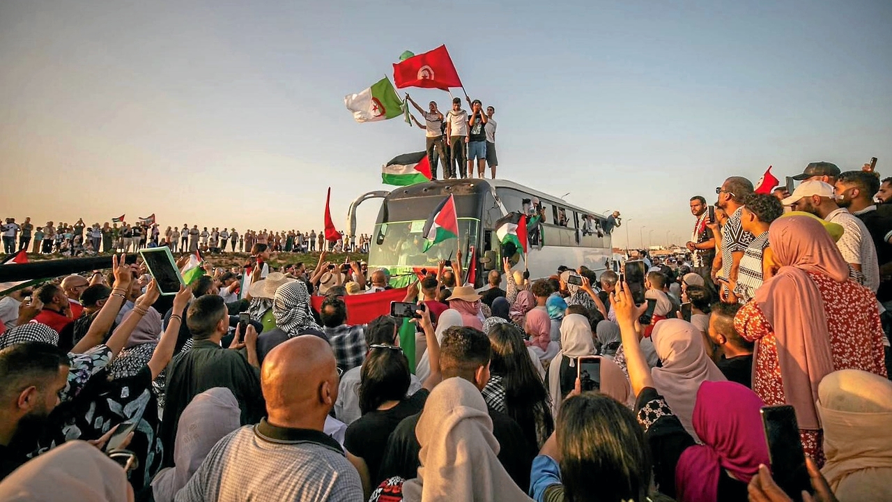 Guerra de Gaza | Activistas pro-palestinos detenidos en Egipto