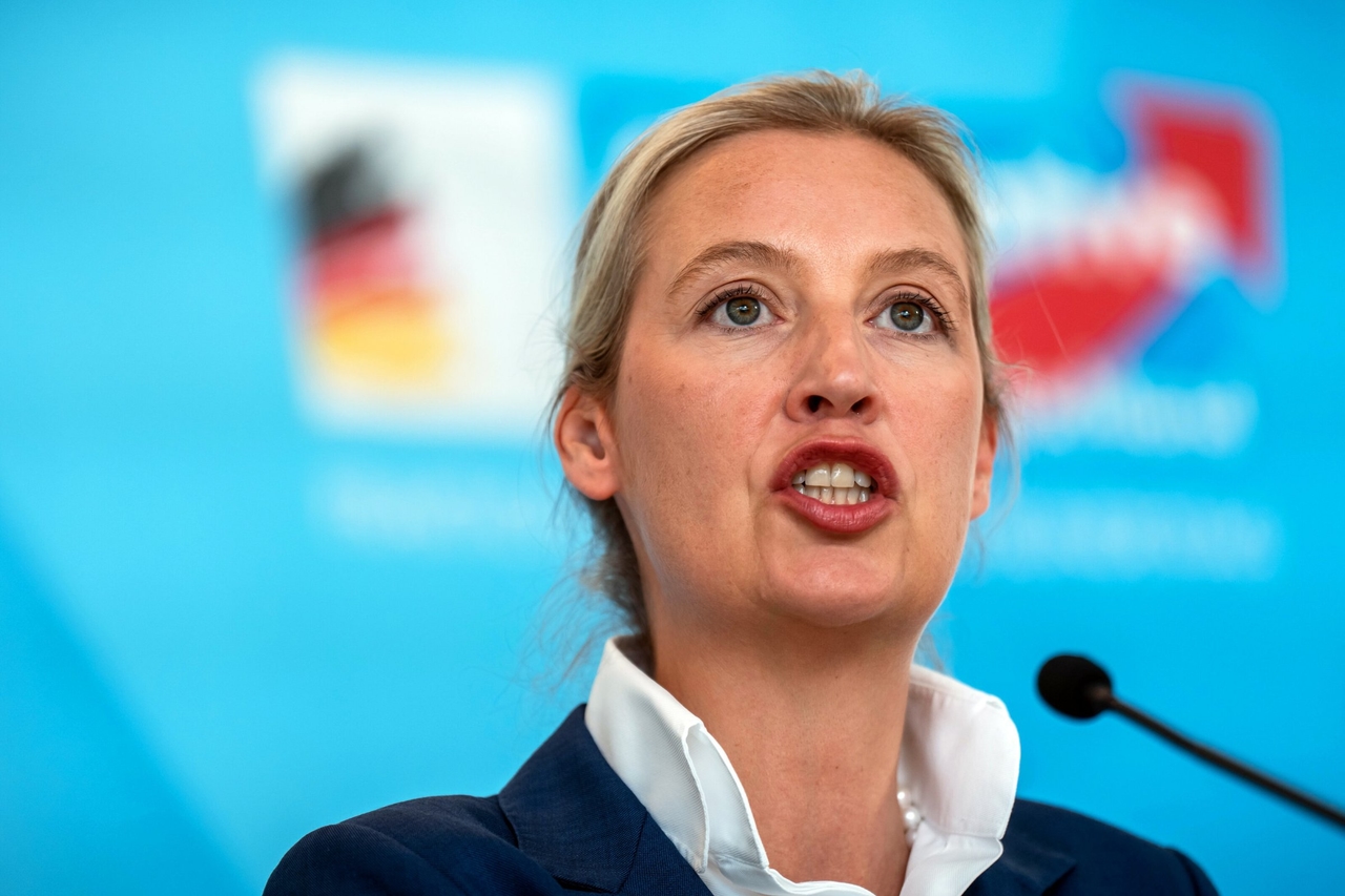 The AfD in Parliament | AfD wants to appear "moderate" in the Bundestag